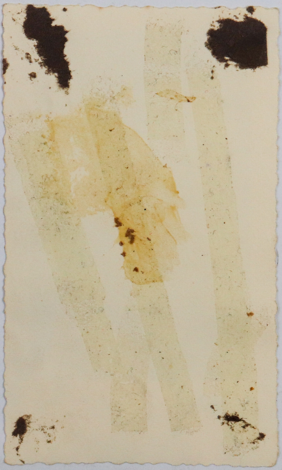 480-b.jpg