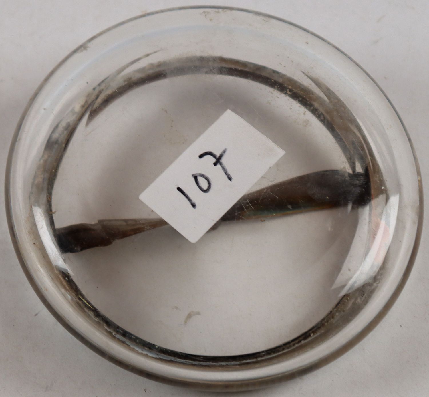 127-b.jpg