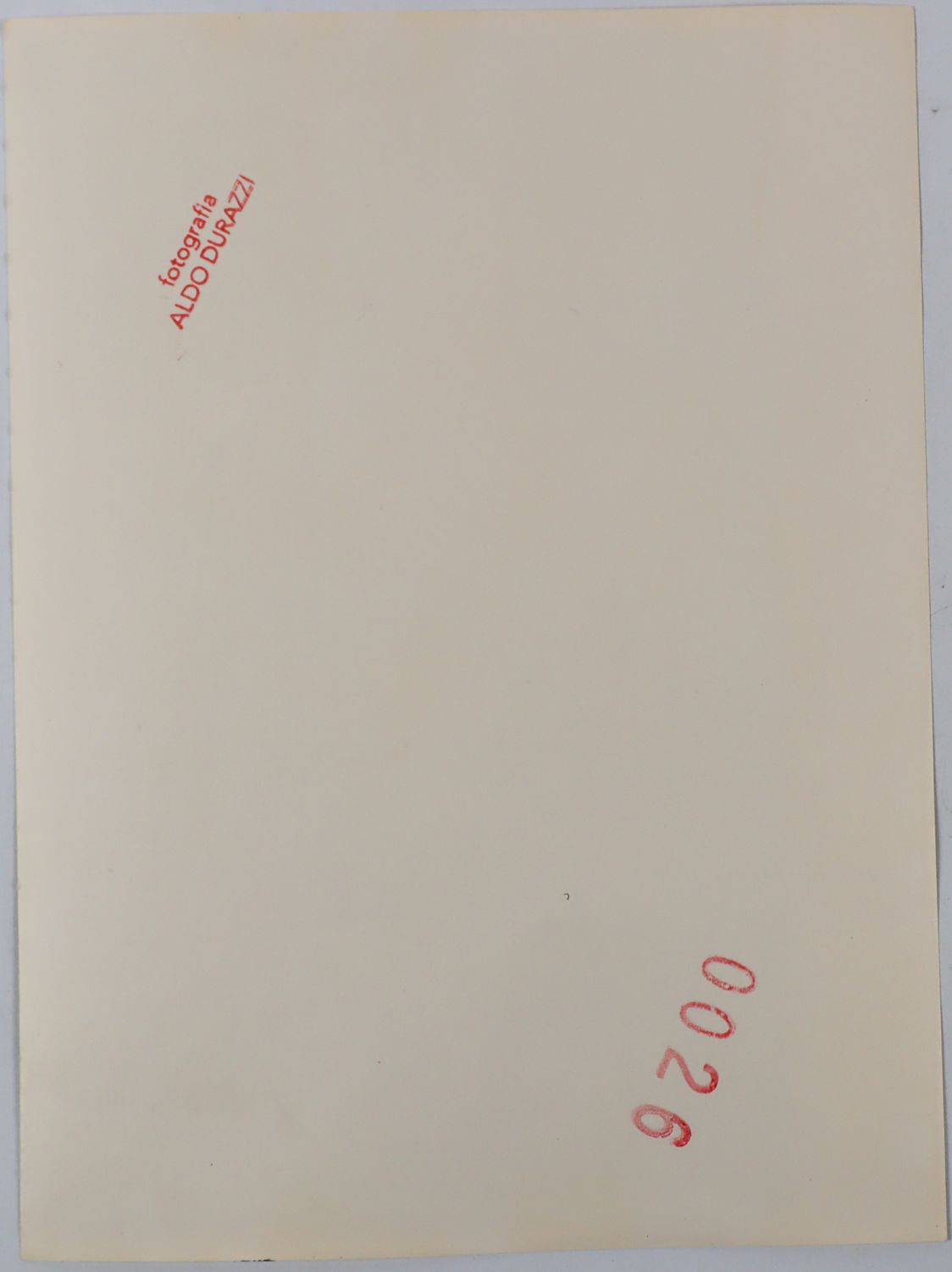 290-b.jpg